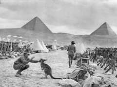 The Landing of the Australian Troops in Egypt